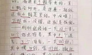 寒假趣事摘草莓450字作文 关于寒假趣事的作文